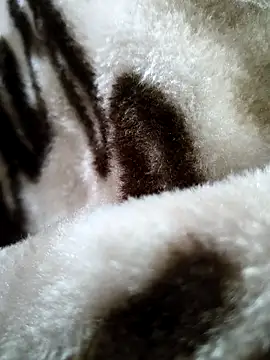 Snapshot of bold_guy_1234 chatting on 12/17/25, 05:35 bold guy 1234 online show from 12/17/25, 05:35