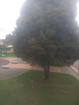 Girl luna  online show from 10/03/25, 05:43