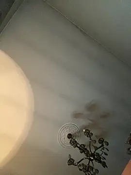 STRIPsegale online show from 02/17/26, 09:43