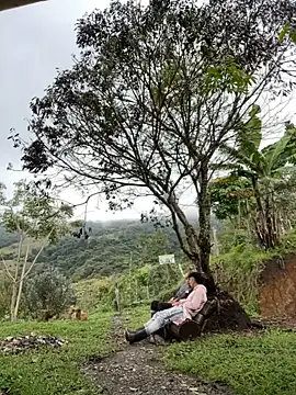 sky-wolves online show from 10/18/25, 04:19