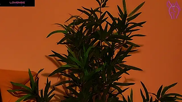 CoraVex online show from 09/25/25, 04:27