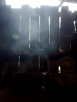 donna-bae online show from 10/03/25, 11:13