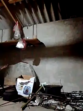 donna-bae online show from 04/12/26, 10:15