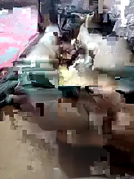 Snapshot of UnbowedAgronomy chatting on 02/14/26, 10:50 UnbowedAgronomy online show from 02/14/26, 10:50