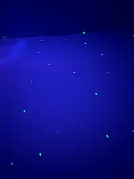 sweetttr online show from 09/16/25, 08:32