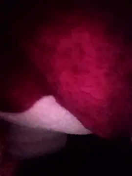 gccnfxdgg online show from 01/16/26, 02:54