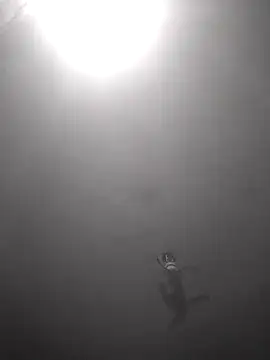 Snapshot of Hott_cutgirl chatting on 10/16/25, 12:33 Hott cutgirl online show from 10/16/25, 12:33