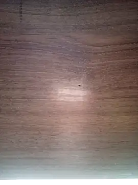 ValeriaLove43211 online show from 12/17/25, 07:36