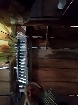 callistra online show from 04/09/26, 04:34