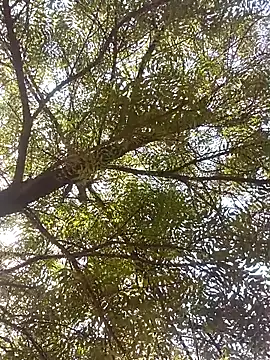 ipvk online show from 04/08/26, 04:23