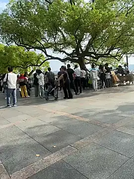 leeyoung  online show from 04/10/26, 07:46