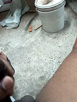 preto3561 online show from 03/02/26, 06:04