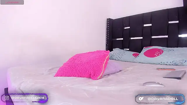 DAYANNAVELEZ online show from 02/18/26, 08:49