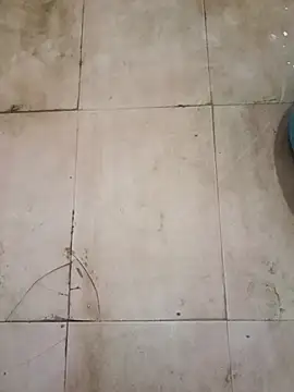 Snapshot of TeluguCuplehyd chatting on 09/20/25, 11:17 TeluguCuplehyd online show from 09/20/25, 11:17