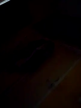 Snapshot of Sumitx007 chatting on 09/24/25, 07:06 Sumitx007 online show from 09/24/25, 07:06