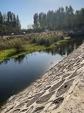 Snapshot of Tang-88 chatting on 10/26/25, 06:52 Tang-88 online show from 10/26/25, 06:52