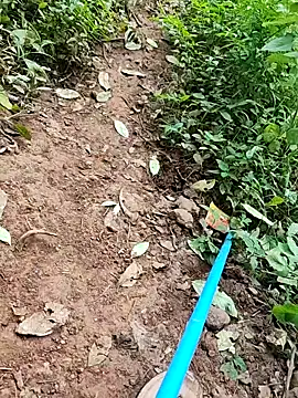 Snapshot of telugumodda4396 chatting on 09/26/25, 06:28 telugumodda4396 online show from 09/26/25, 06:28