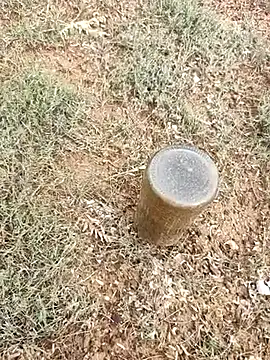 Snapshot of telugumodda4396 chatting on 10/06/25, 02:31 telugumodda4396 online show from 10/06/25, 02:31