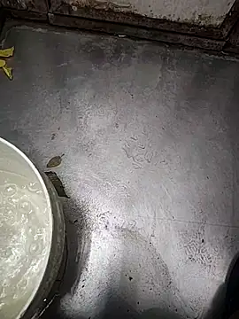 Snapshot of telugumodda4396 chatting on 11/12/25, 01:50 telugumodda4396 online show from 11/12/25, 01:50