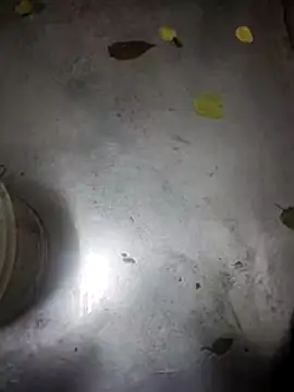 Snapshot of telugumodda4396 chatting on 11/13/25, 09:30 telugumodda4396 online show from 11/13/25, 09:30