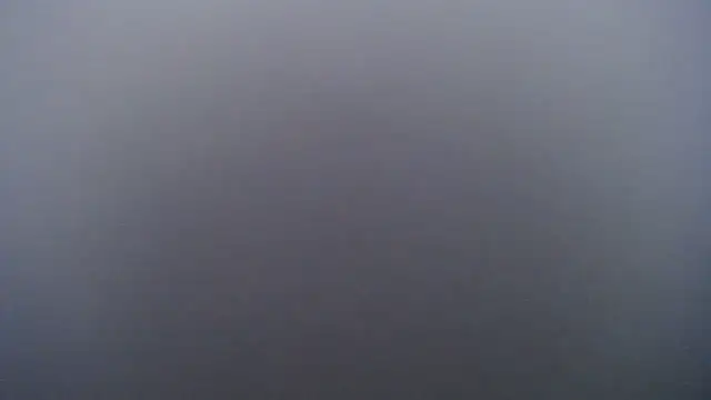 Juiceybileh online show from 02/01/26, 02:48