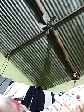 Haliya88 online show from 02/26/26, 08:52