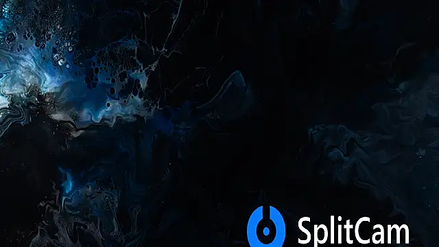 CgnWolf online show from 03/16/26, 06:56