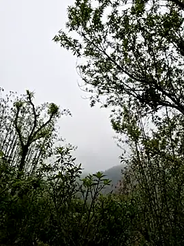 xuxulovezz online show from 04/01/26, 01:50