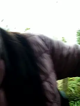 Snapshot of abigail-00 chatting on 12/14/25, 09:25 abigail-00 online show from 12/14/25, 09:25