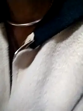 Snapshot of abigail-00 chatting on 01/11/26, 01:38 abigail-00 online show from 01/11/26, 01:38