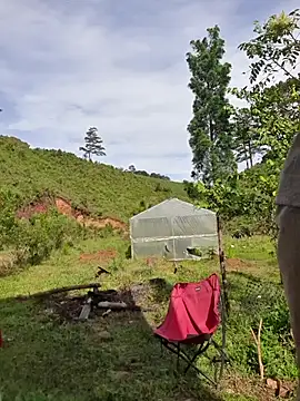 Snapshot of Helen-Tran chatting on 10/24/25, 01:35 Helen-Tran online show from 10/24/25, 01:35