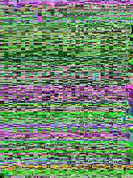 aoyo66 online show from 11/05/25, 12:16