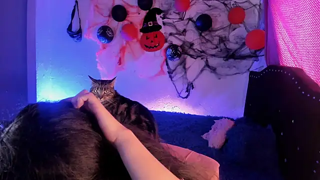 kitty  chs online show from 11/01/25, 05:26