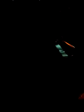 Gigolo31per31 online show from 10/18/25, 02:25