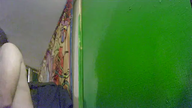 Snapshot of HippieDad333 chatting on 11/25/25, 08:36 HippieDad333 online show from 11/25/25, 08:36