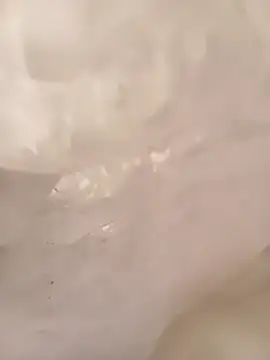 ruiiizz online show from 03/09/26, 06:45