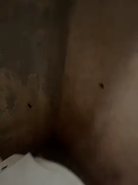 favelado33 online show from 09/26/25, 04:22