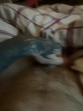 Snapshot of Thebald-topher chatting on 09/28/25, 11:10 Thebald-topher online show from 09/28/25, 11:10