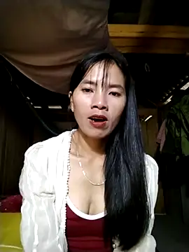 lmc-zz online show from 11/01/25, 01:29