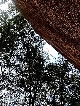 Rs sonam online show from 12/15/25, 09:57