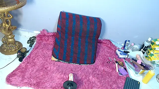 codorniz2025 online show from 04/06/26, 07:59