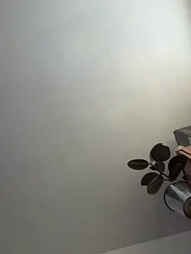 Snapshot of UnitedMap1 chatting on 11/20/25, 02:50 UnitedMap1 online show from 11/20/25, 02:50