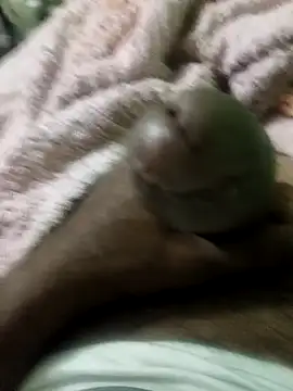 sam salman online show from 02/09/26, 10:03