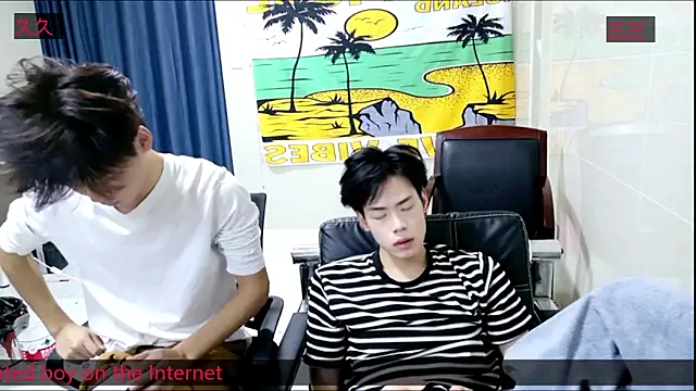 Snapshot of stripcha-798 chatting on 11/08/25, 03:34 stripcha-798 online show from 11/08/25, 03:34