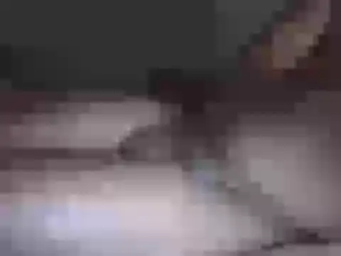 Hhhggghrrr3219 online show from 03/17/26, 07:17