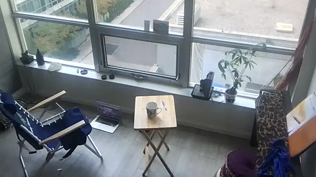 tia   fox online show from 10/29/25, 08:21