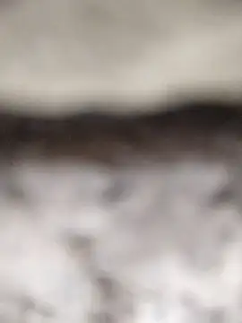 PEEHU-50 online show from 03/12/26, 02:18