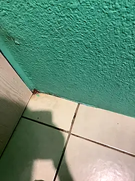 feetbooy online show from 12/22/25, 12:18