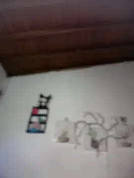 Solaangel  online show from 02/10/26, 12:04