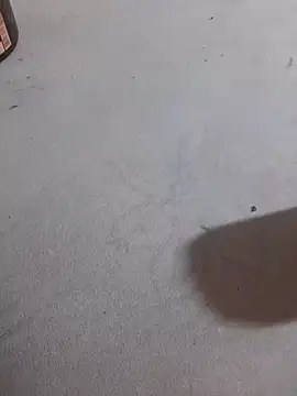 Snapshot of JuDilva8451 chatting on 11/21/25, 11:58 JuDilva8451 online show from 11/21/25, 11:58